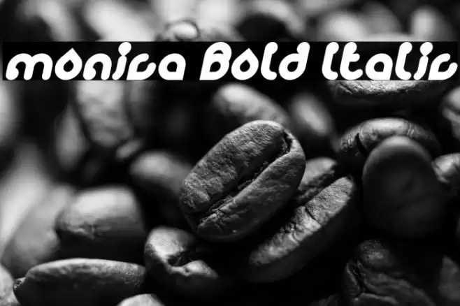 monica Bold Italic Font examples