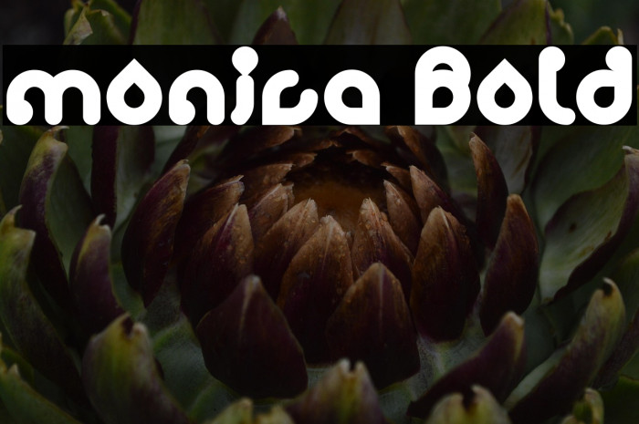 monica Bold Example 2