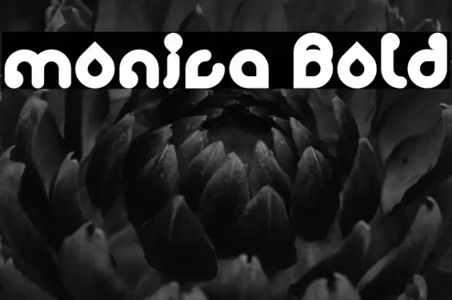 monica Bold Example 2