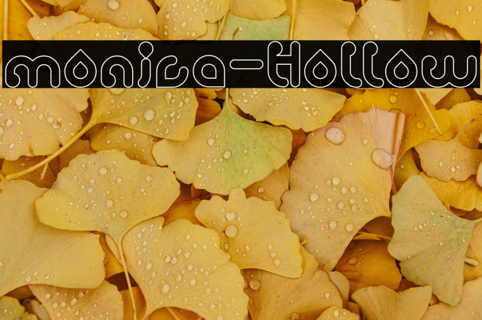 monica-Hollow Example 1