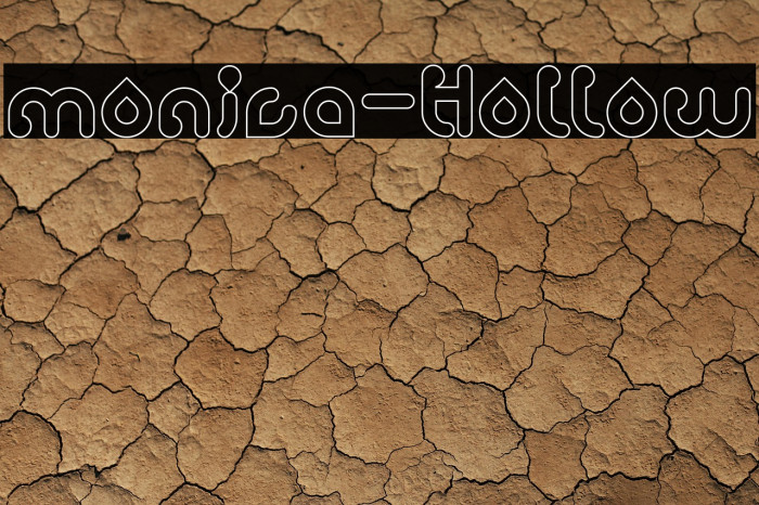 monica-Hollow Example 2