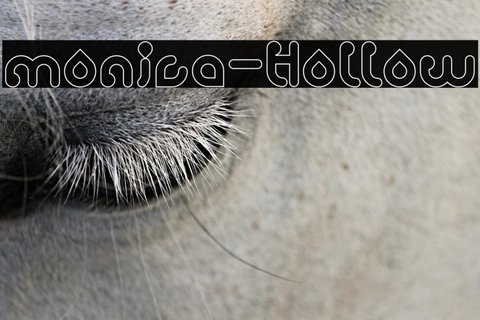 monica-Hollow Example 3