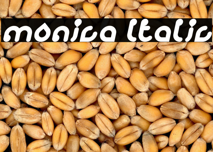 monica Italic Example 3