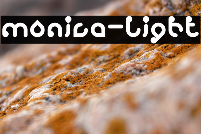 monica-Light Example 1