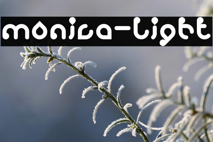 monica-Light Example 2