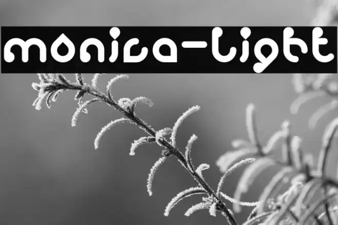 monica-Light Example 2