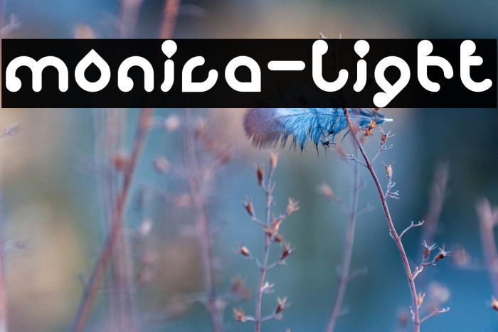 monica-Light Example 3