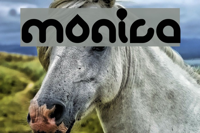 monica Font examples