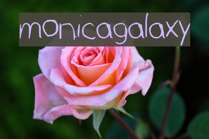 monicagalaxy Font examples
