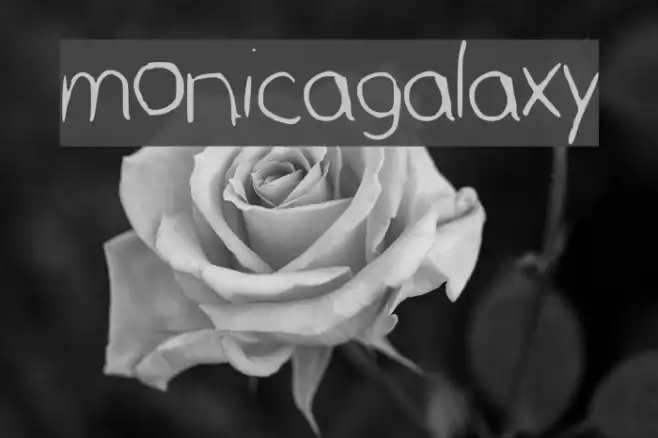 monicagalaxy Example 2