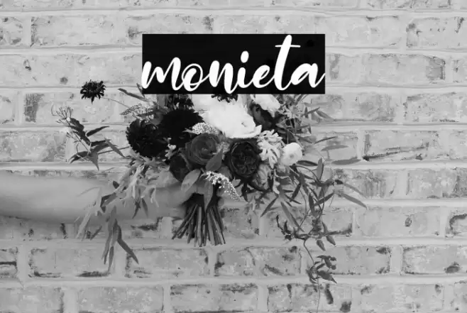 monieta Font examples