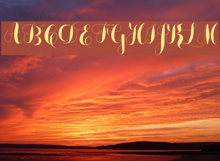 monmica demo Font examples