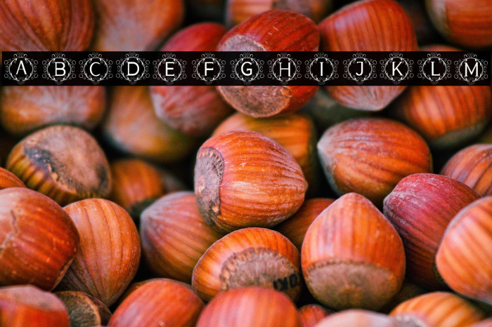 monogram sunflower Example 2