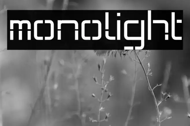 monolight Example 1