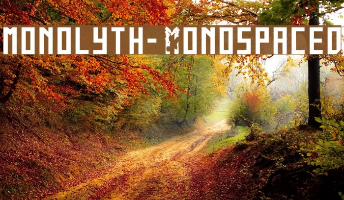 monolyth-Monospaced Example 1