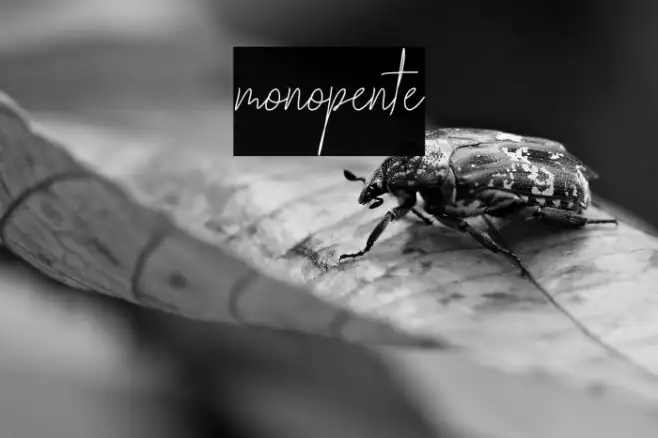 monopente Example 2