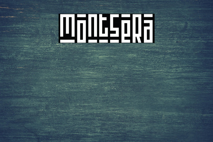 montsera Example 1
