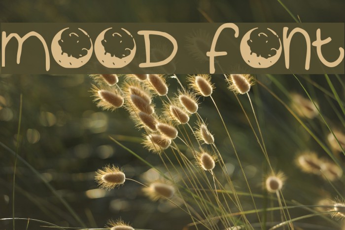 mood Font examples