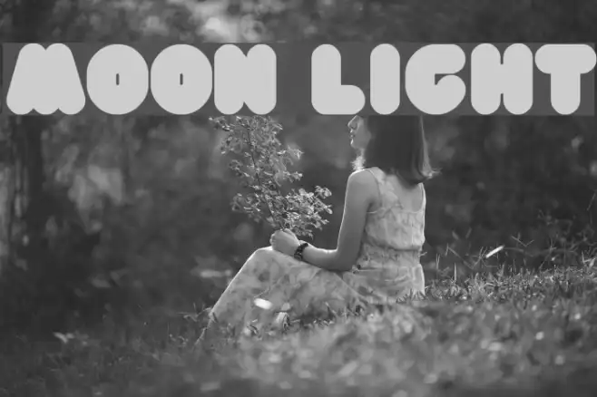 moon light Example 3