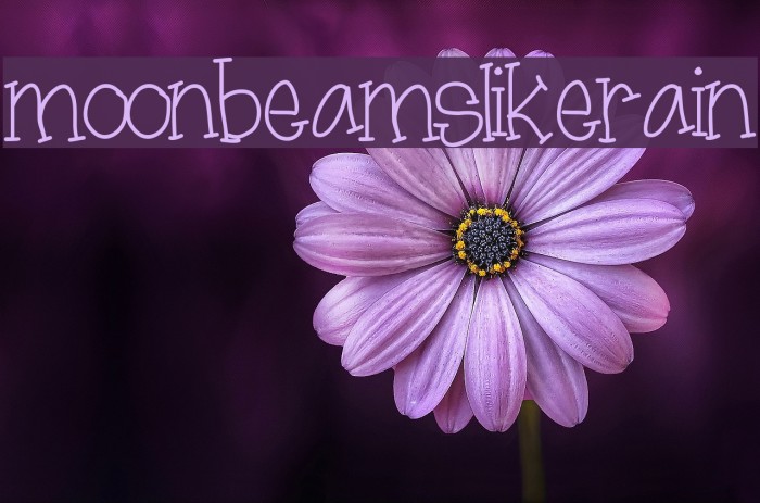 moonbeamslikerain Font examples