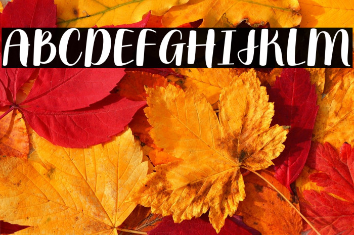 moonbright Example 1