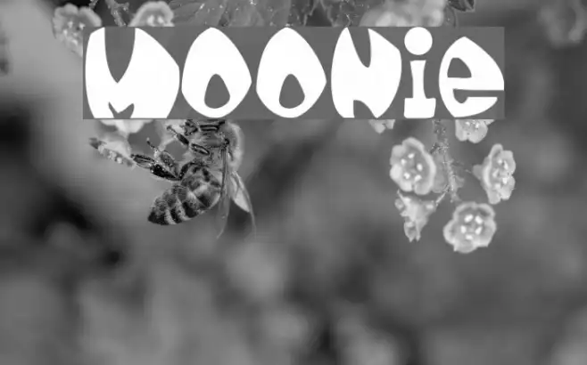 moonie Example 1