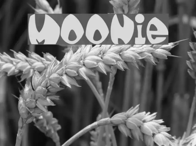 moonie Example 2