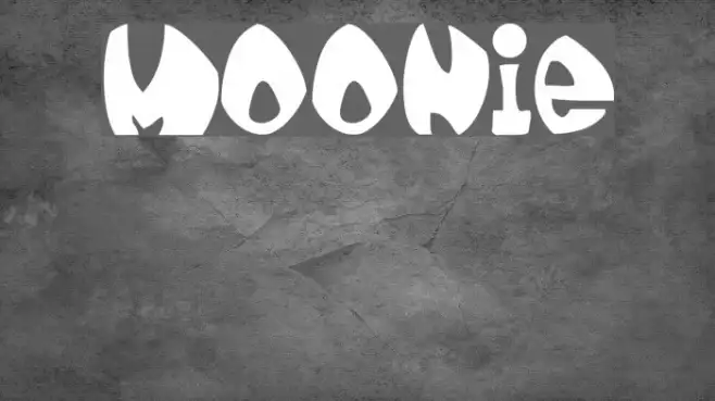 moonie Example 3
