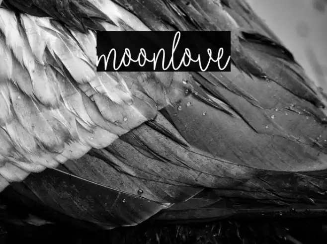 moonlove Example 2