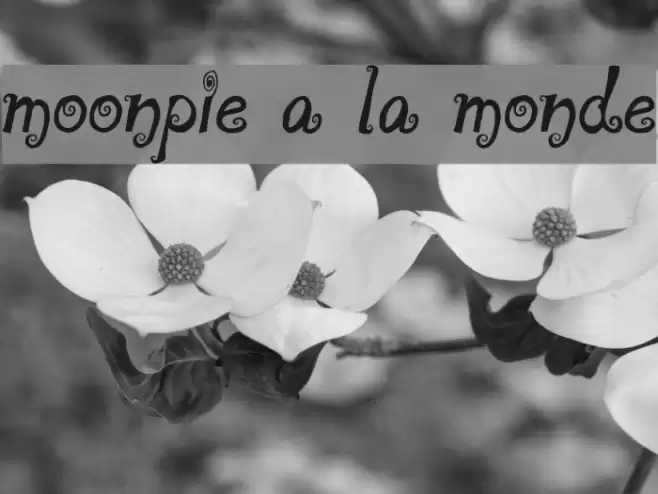 moonpie a la monde Font examples