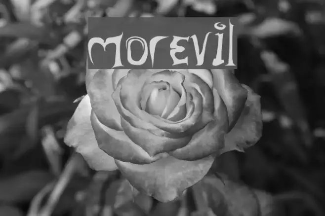 morevil Example 3