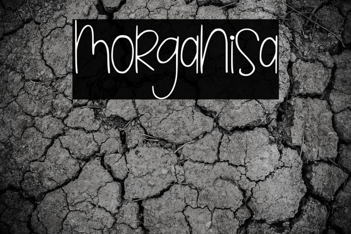 morganisa Example 2