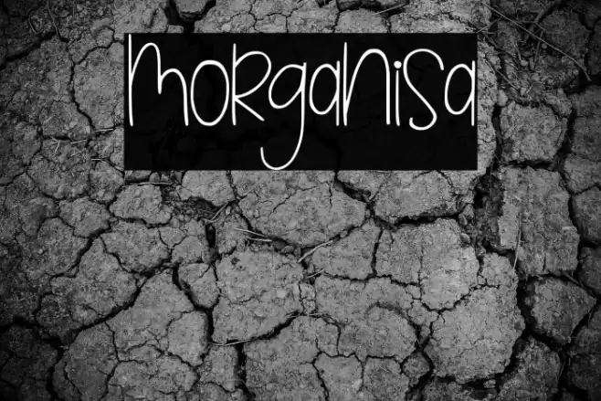 morganisa Font examples