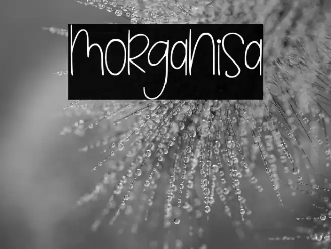 morganisa Font examples