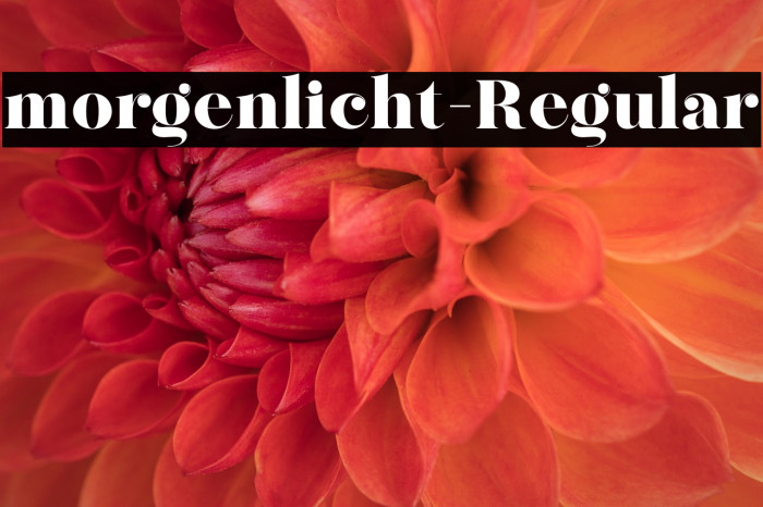 morgenlicht-Regular Example 2