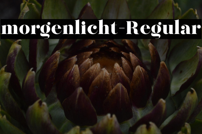 morgenlicht-Regular Example 3