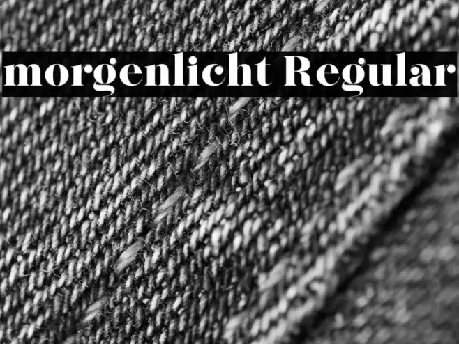 morgenlicht Regular Font examples