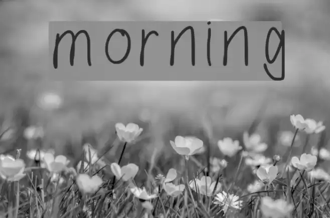 morning Font examples