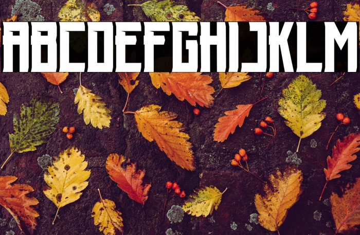 moronick demo Example 1