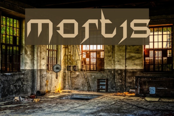mortis Schriftart examples