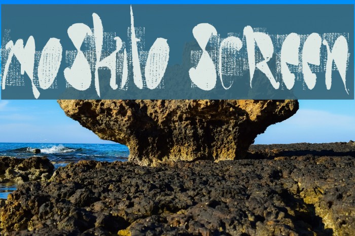 moskito screen Font examples