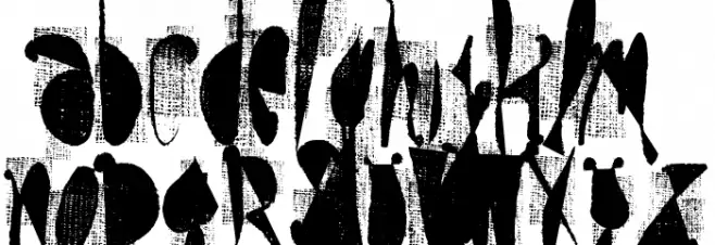 moskito screen Polices MINUSCULES