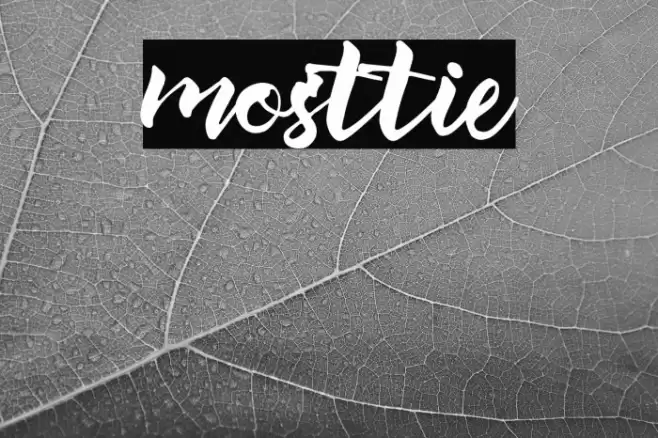 mosttie Font examples