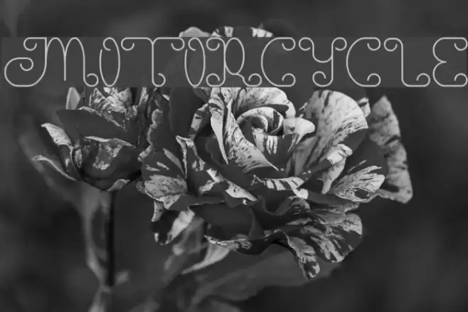 motorcycle Font examples