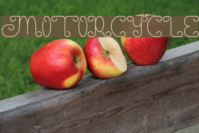 motorcycle Example 3