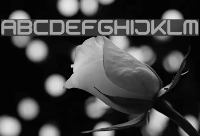 motschcc Fuentes examples