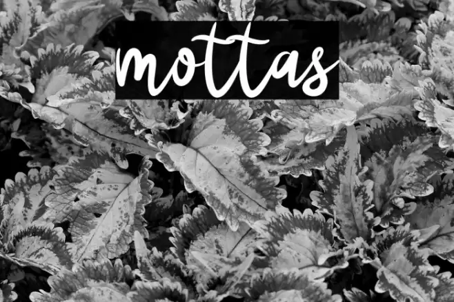 mottas Font examples