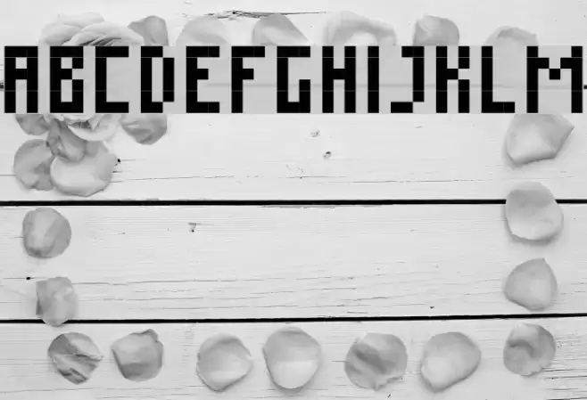 mousetrap Font examples