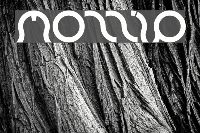 mozzie Font examples