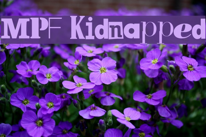 MPF Kidnapped Example 1